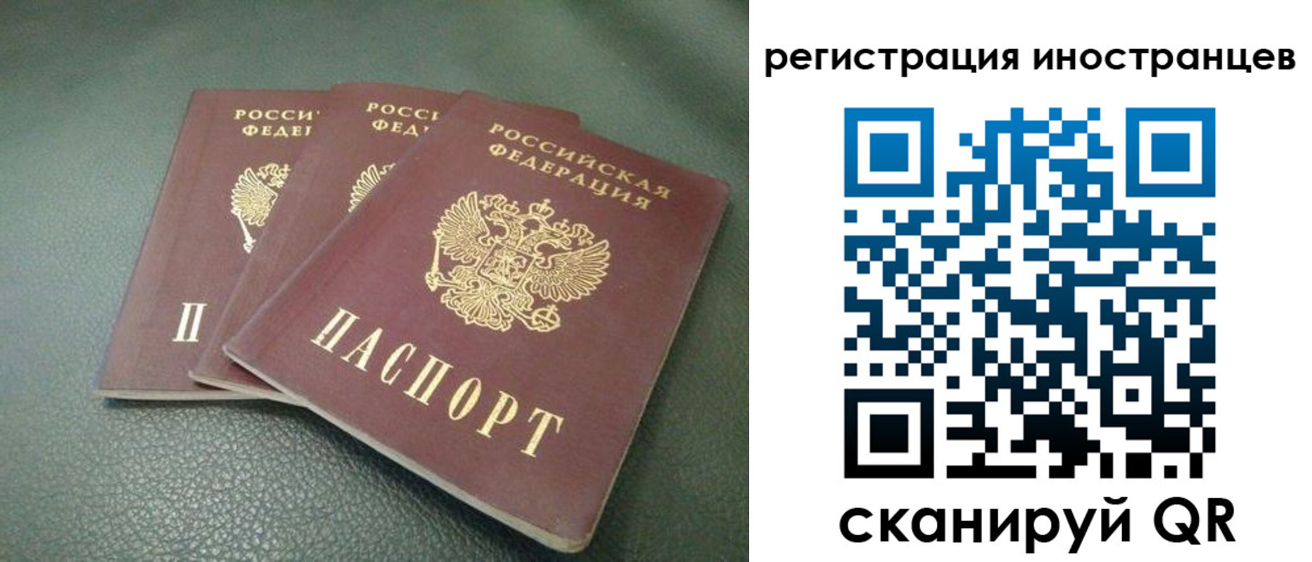 прописка от собственника в Волгоградской области